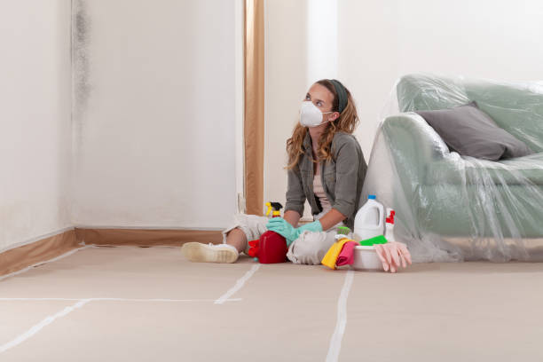Reliable Mold Remediation contractor in Massapequa Park, NY by WQB Mold Removal
